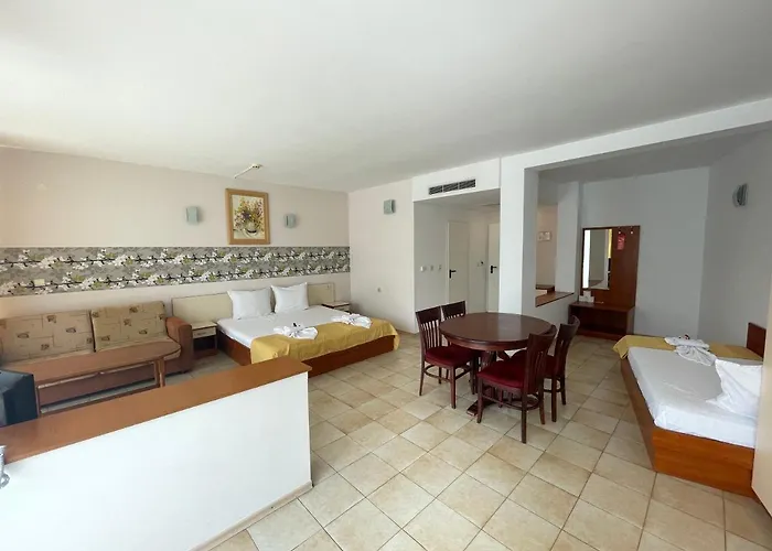 恩伊斯酒店 酒店 3*